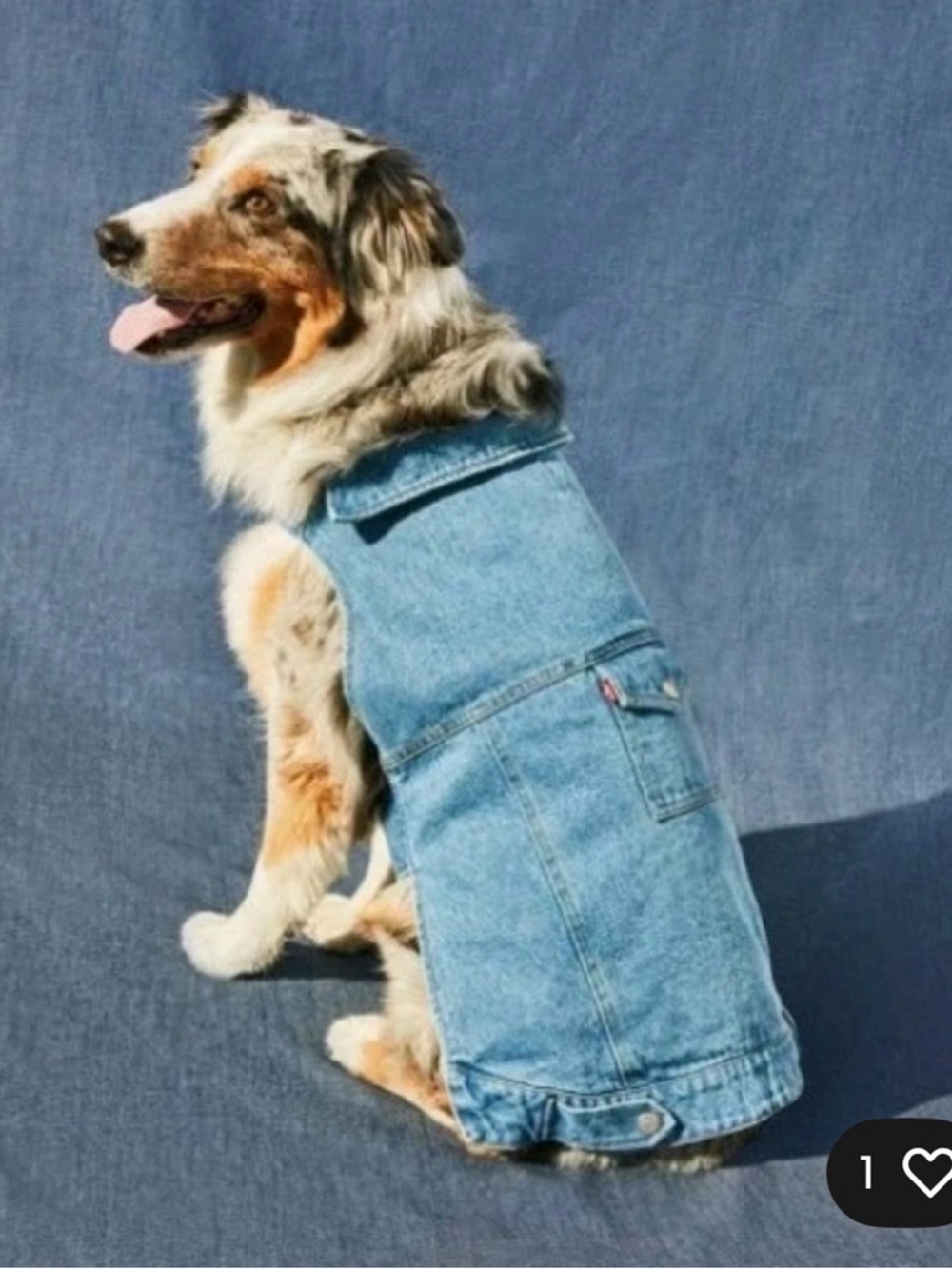 Levi's X Target Blue Denim Dog Trucker Relaxed Fit Jean Jacket Medium
